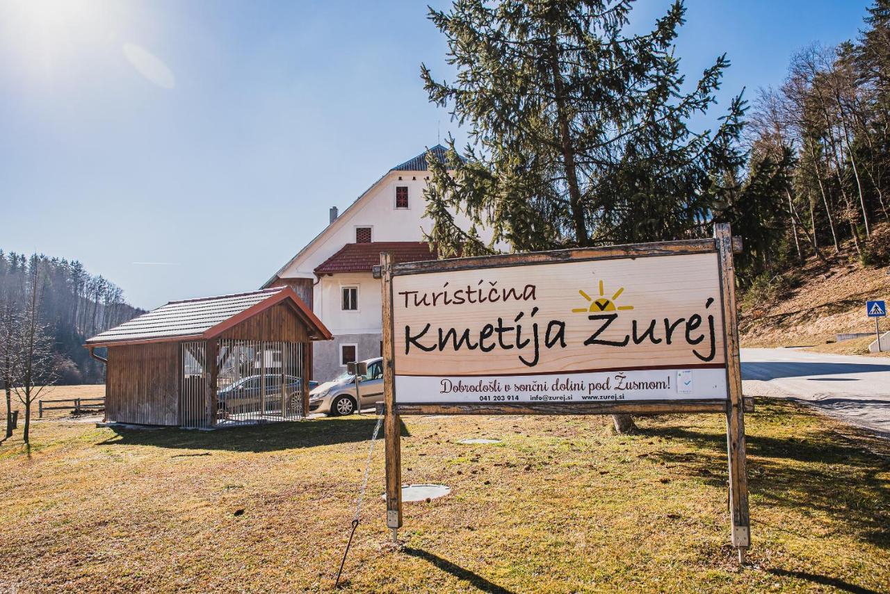 Farm Stay Zurej Sentjur Exterior photo